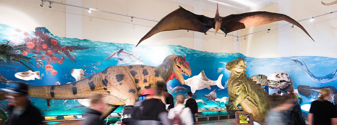 Ausflugsziele im Salzburger Land - Familienbauernhof Nöglhof in Radstadt - Haus der Natur