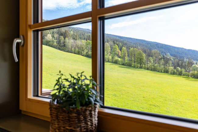 Ferienwohnung Goasstein - Urlaub am Bauernhof in Radstadt - Familienbauernhof Nöglhof
