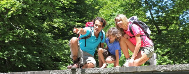 Sommerurlaub & Wanderurlaub in Radstadt – Bauernhofurlaub in Radstadt am Familienbauernhof Nöglhof