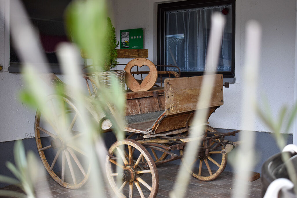 urlaub-am-bauernhof-ferienwohnung-radstadt-noeglhof-31