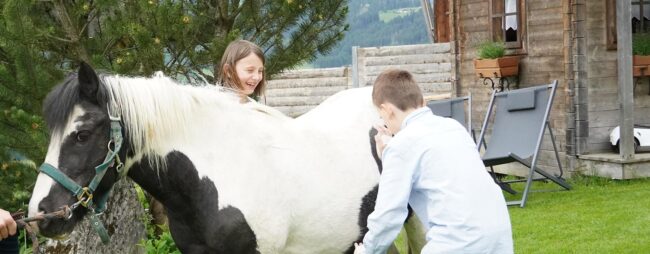 Urlaub am Bauernhof im Salzburger Land, Radstadt, Nöglhof