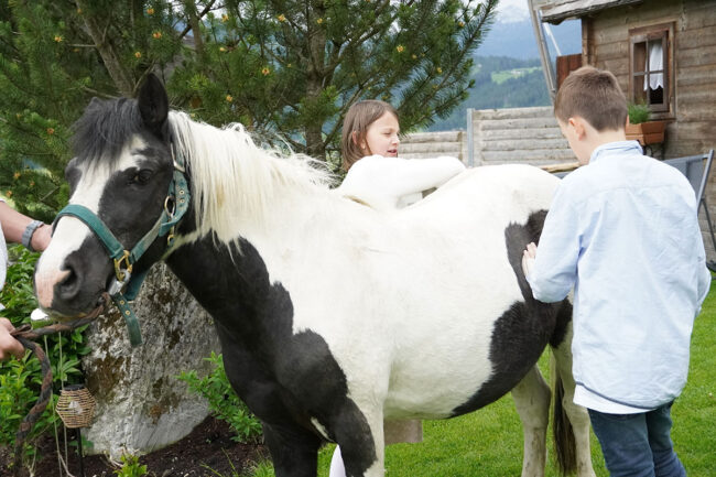 Streicheltiere, Urlaub am Bauernhof in Radstadt, Salzburger Land - Nöglhof
