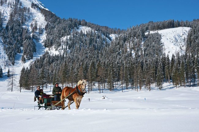 Pferdeschlittenfahrten – Winterurlaub & Skiurlaub im Ski amadé - Bauernhof Nöglhof in Radstadt