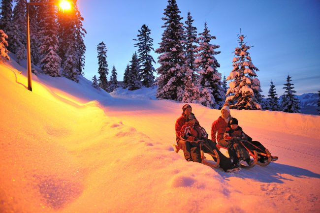 Rodeln – Winterurlaub & Skiurlaub im Ski amadé - Bauernhof Nöglhof in Radstadt