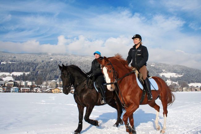 Winterreiten – Winterurlaub & Skiurlaub im Ski amadé - Bauernhof Nöglhof in Radstadt